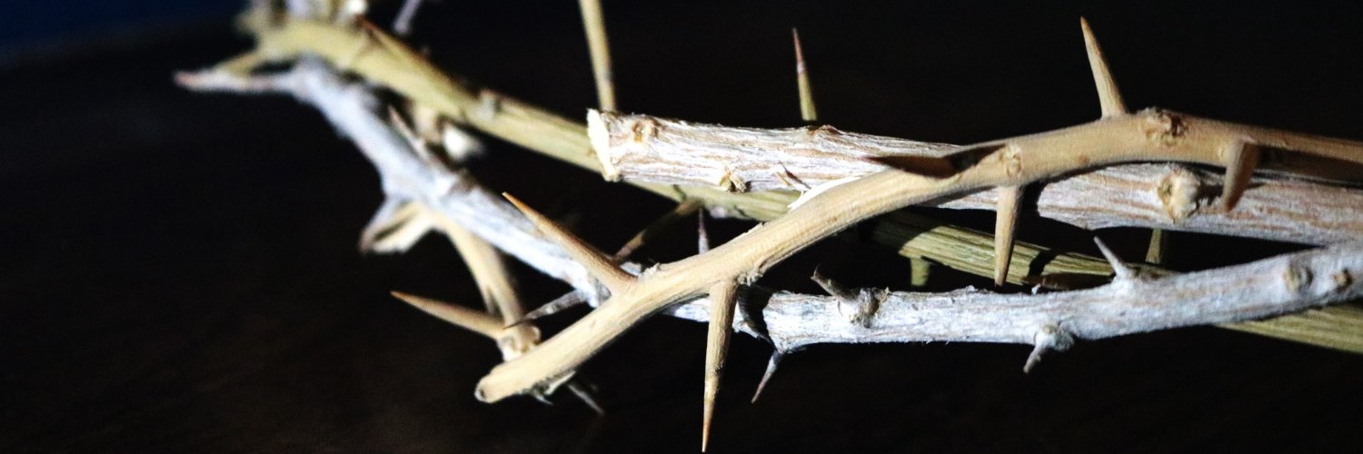 NorbertineAbbey's profile banner image