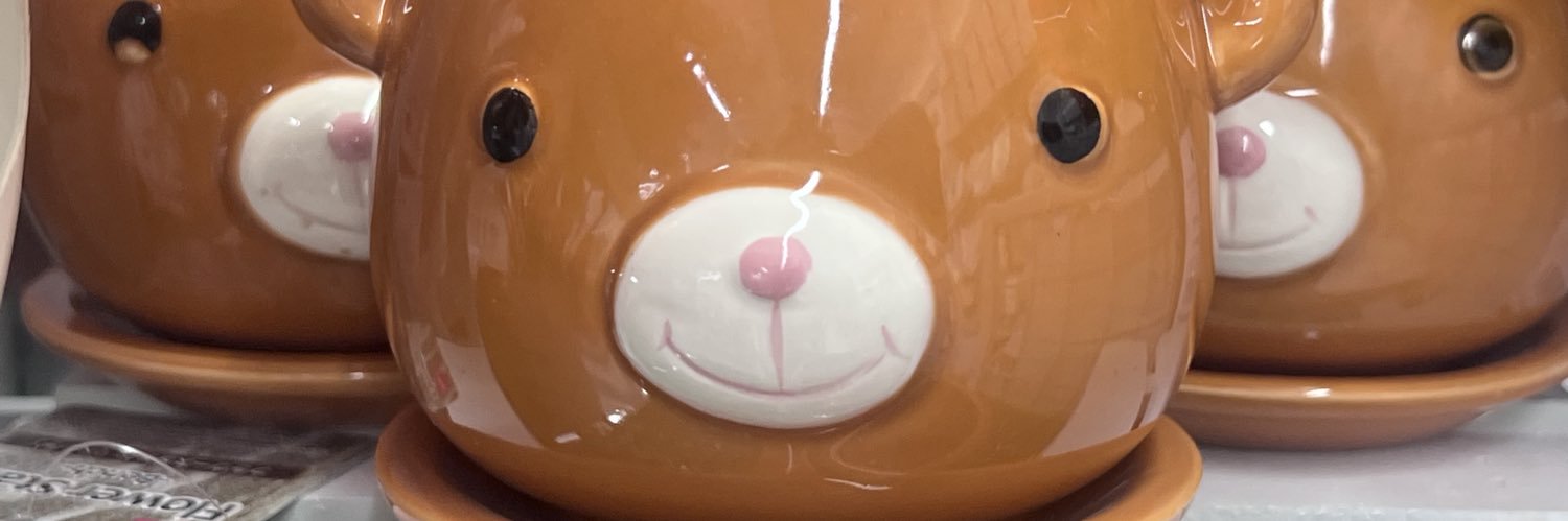 urpookiegurl's profile banner image
