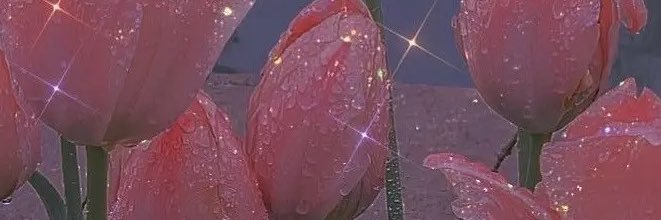 elssuh's profile banner image