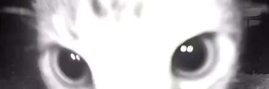 SquaresAlmighty's profile banner image