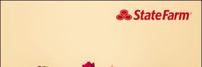 NE_StateFarm's profile banner image