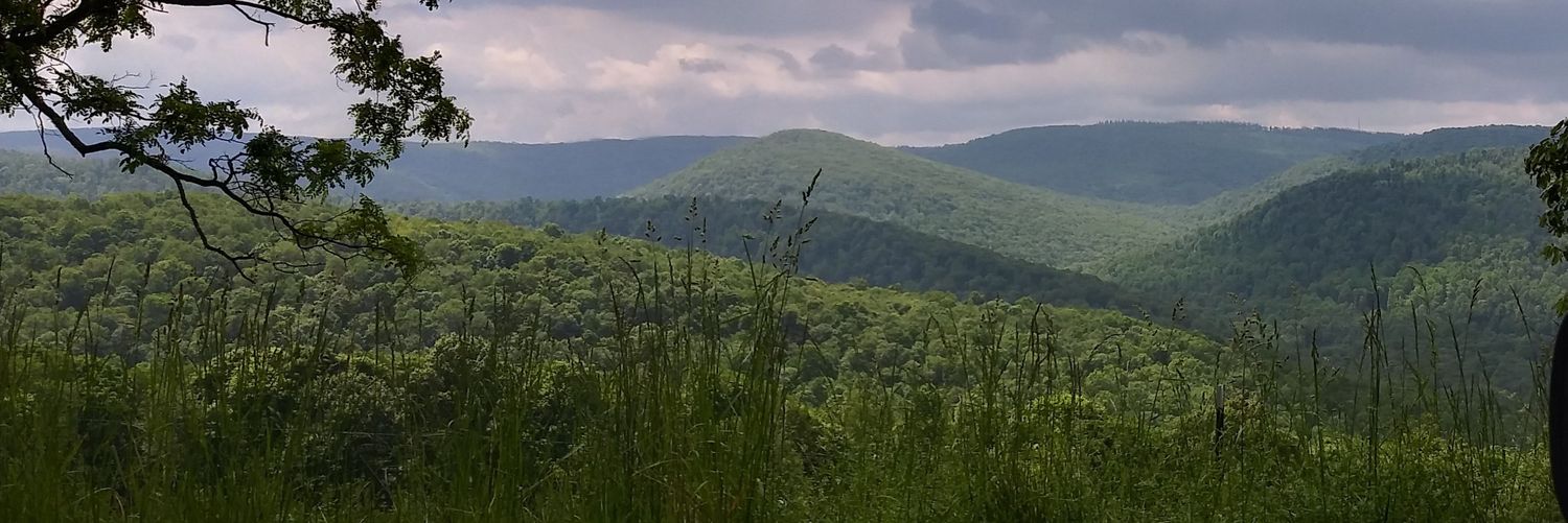 StarWarsMike66's profile banner image