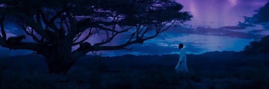 OG_AceLee's profile banner image