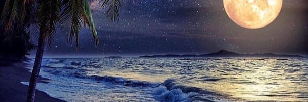 wispringthunder Profile Banner