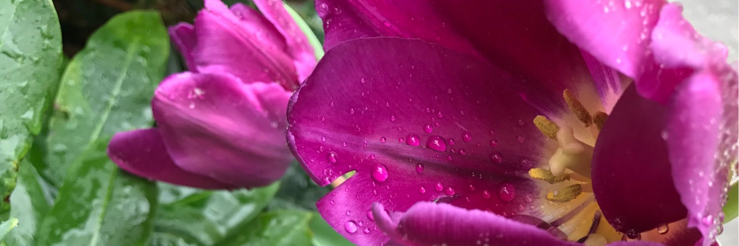 stan10smom's profile banner image
