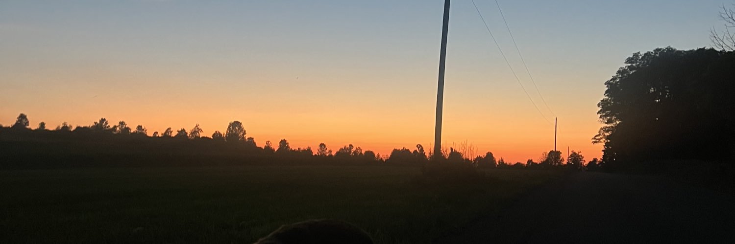 Treyychapman's profile banner image