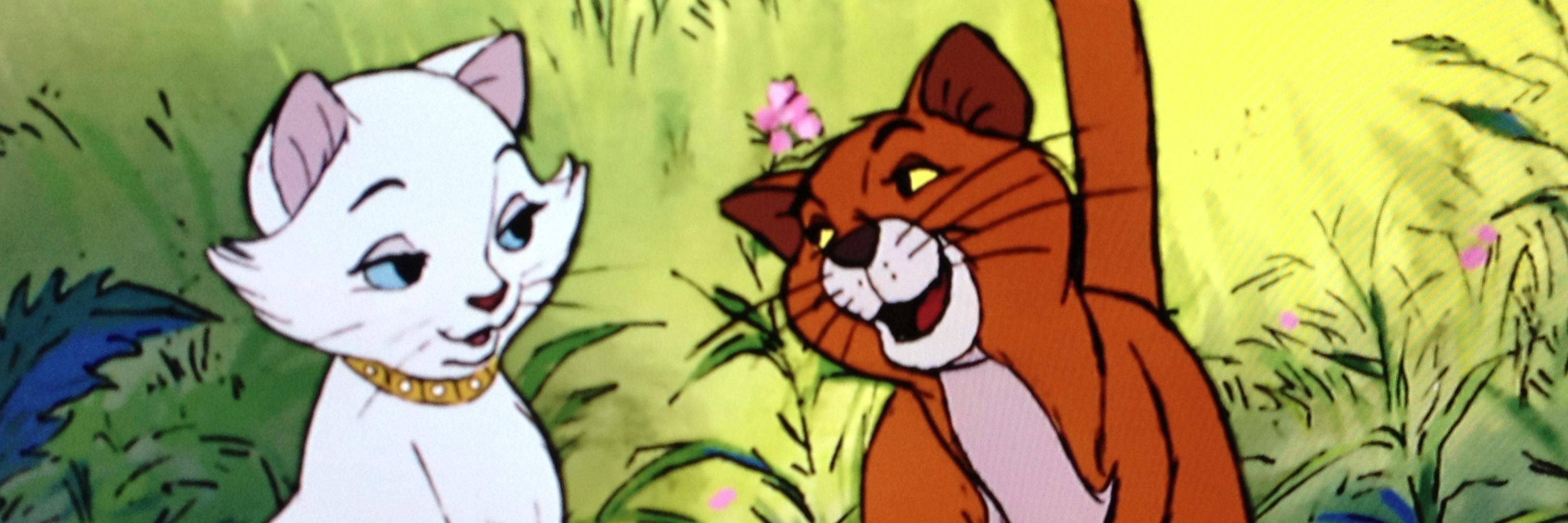 pixiebreeze's profile banner image