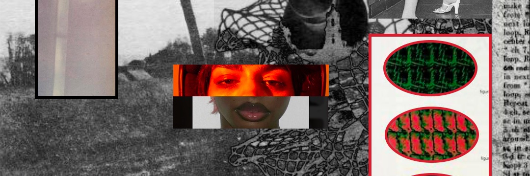 Parrka322's profile banner image