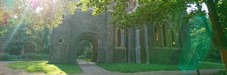 Romany Reagan banner