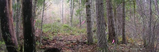 Zach and Hannah banner