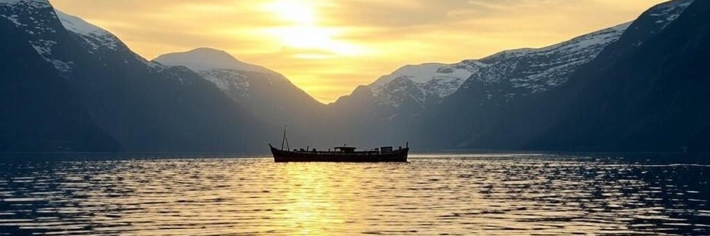 KermitViking's profile banner image