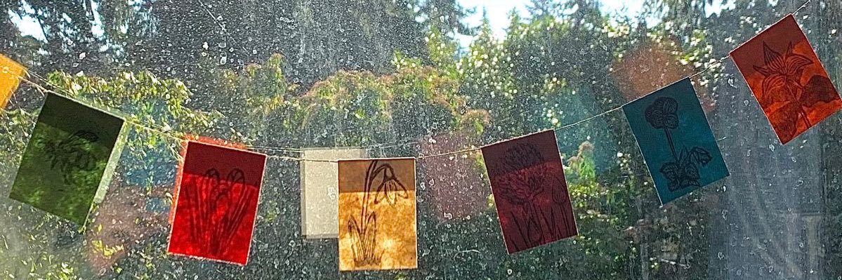 shannelsoto's profile banner image
