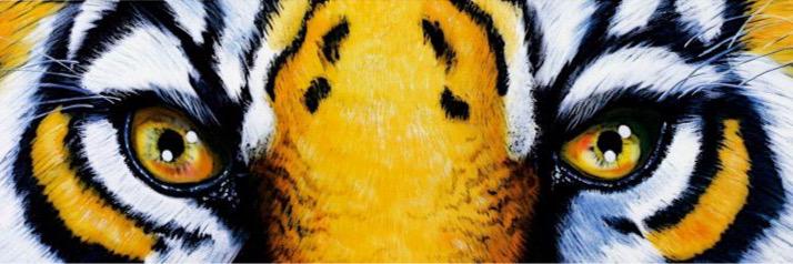 SWHS Speech & Debate banner