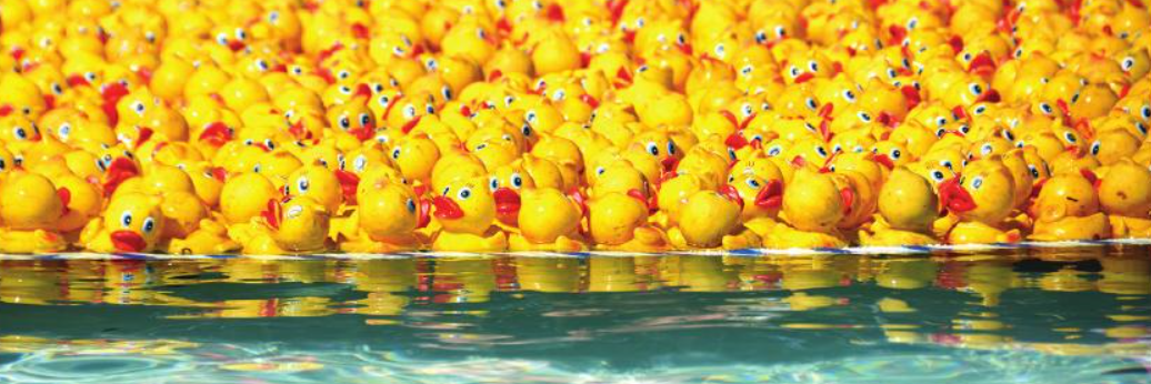 DipDuck's profile banner image