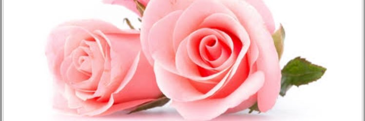 Sai39721's profile banner image