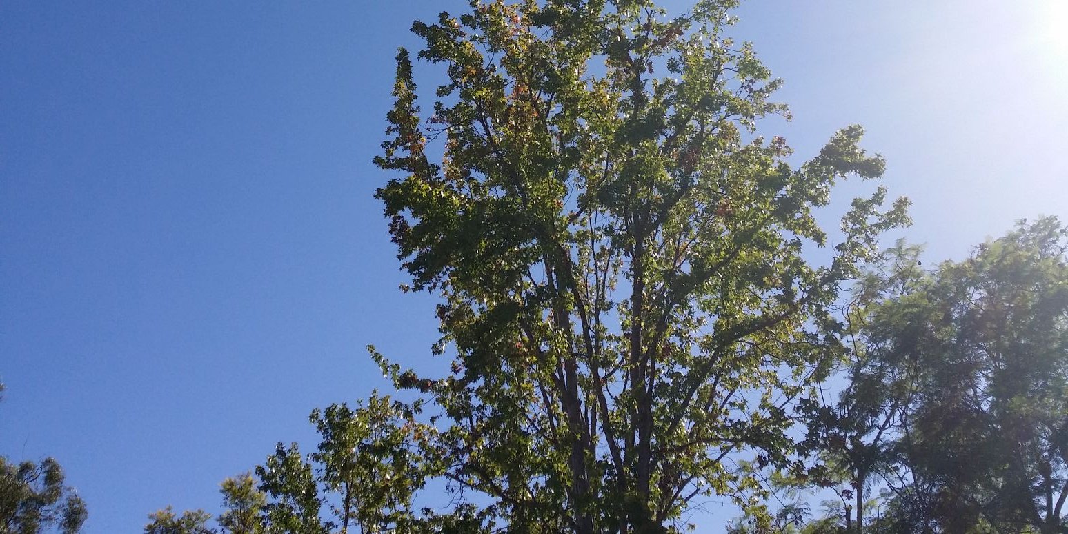 ♻px☕️⊮ banner