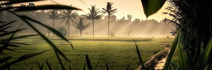 berangay's profile banner image