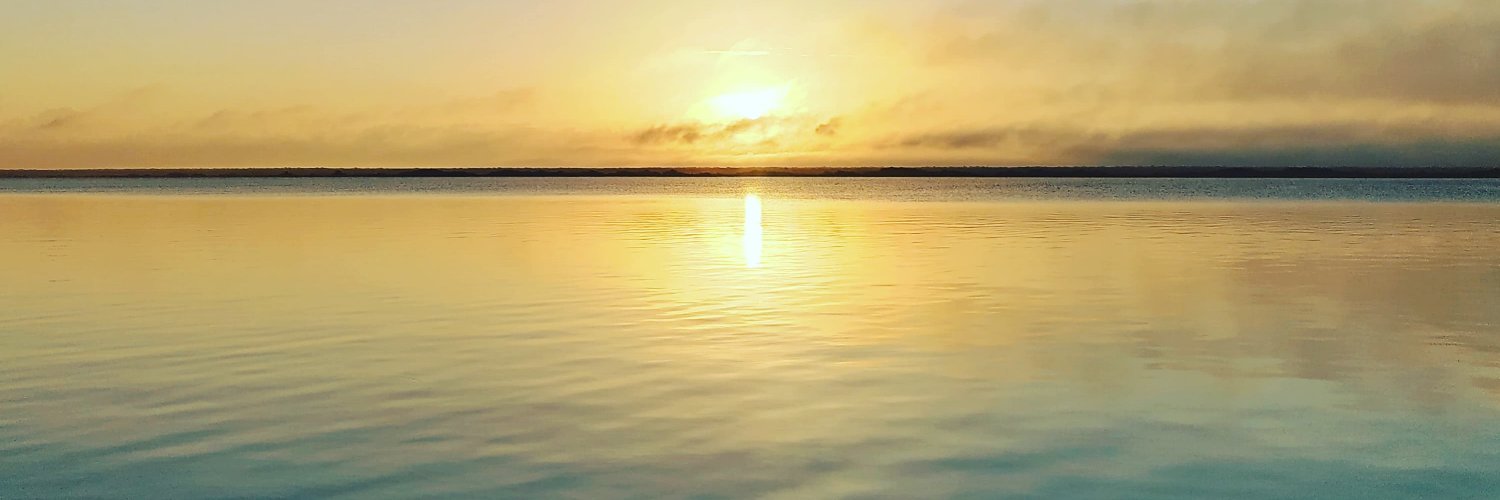 vhicthor's profile banner image