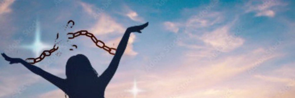 the big cat™️ banner