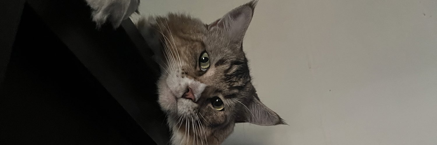 aaallllf's profile banner image