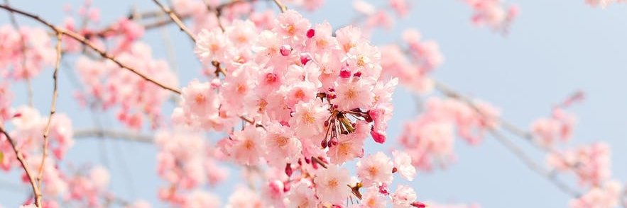 mindo_min's profile banner image