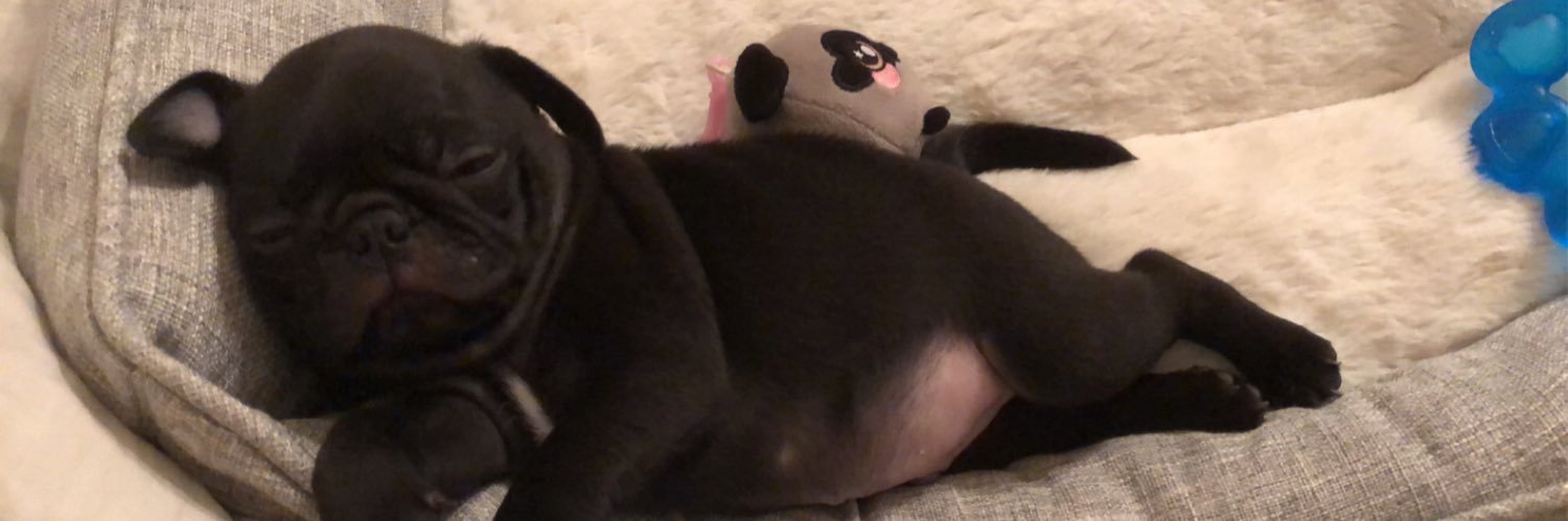 OrtizzyVal's profile banner image