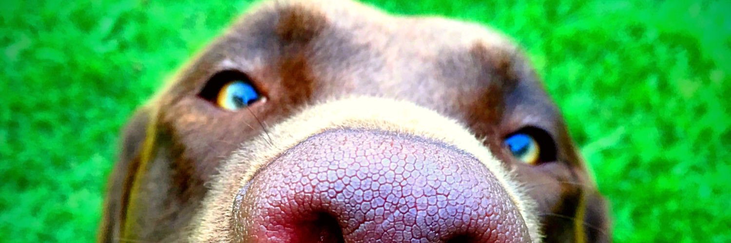 VanillaBryce13's profile banner image