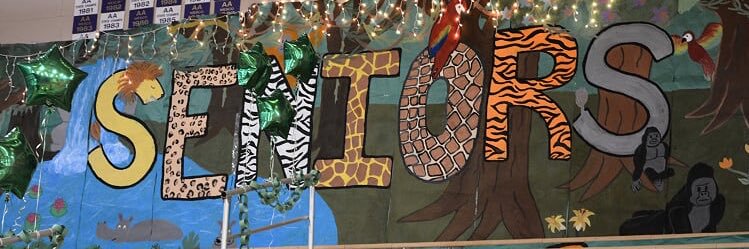 ewhsclassof2018's profile banner image