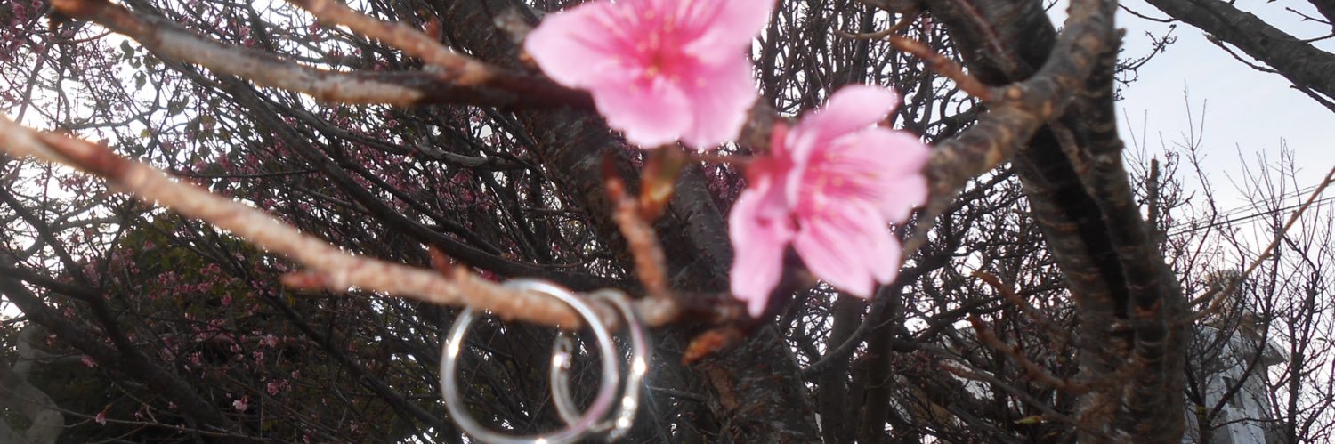 erinasueyoshi's profile banner image