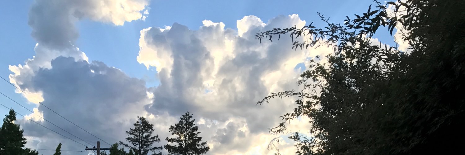 Simonditstroy's profile banner image