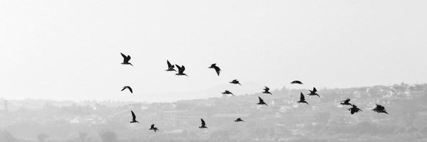 ayoush_____ Profile Banner