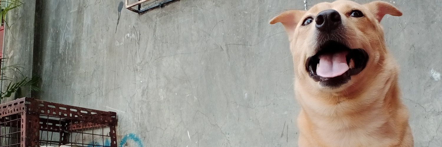 _jmram0s's profile banner image