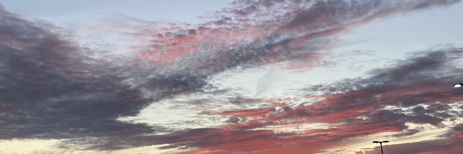 tinychameleons's profile banner image