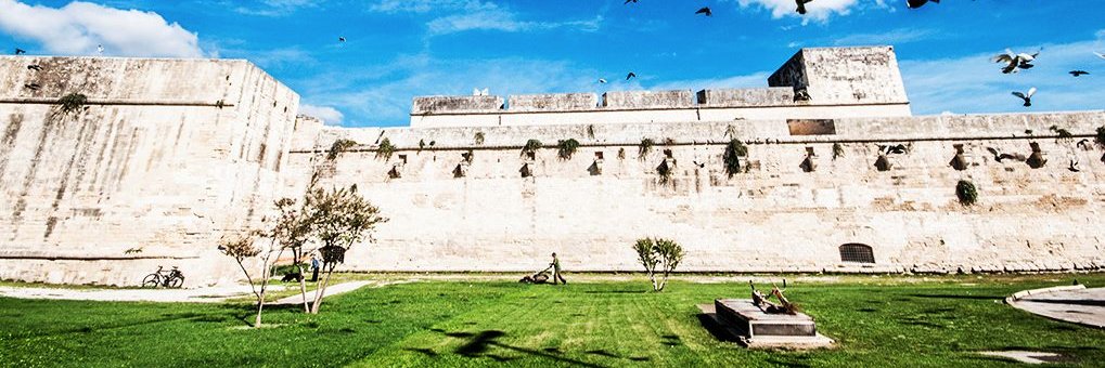 CastelloCarloV banner