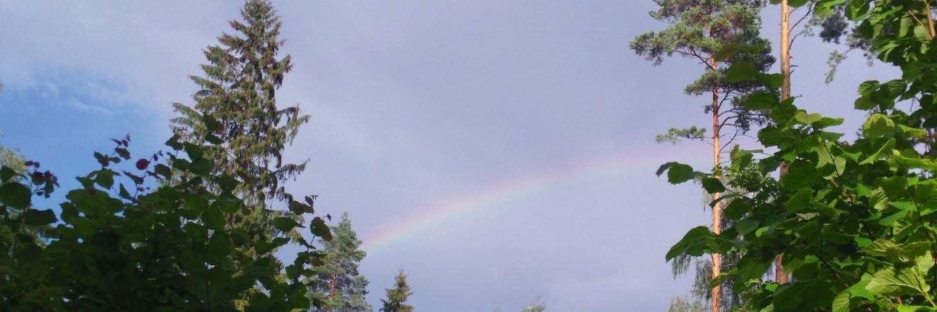 Radishevo's profile banner image