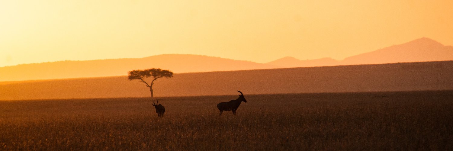 olonanaonsafari's profile banner image