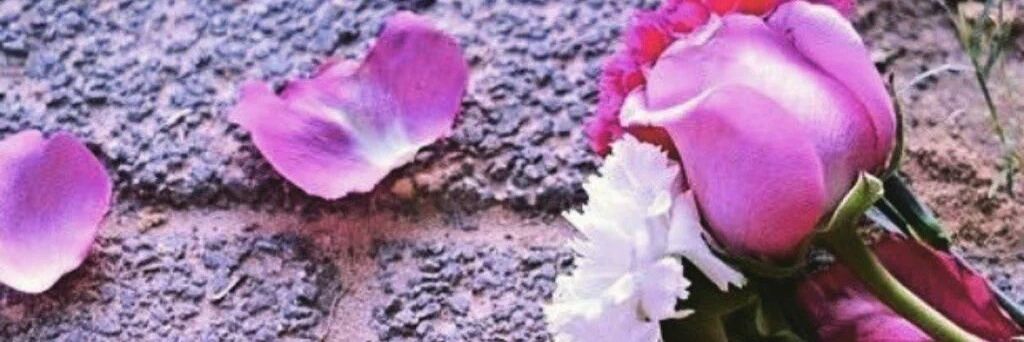 mmmmm_reem's profile banner image