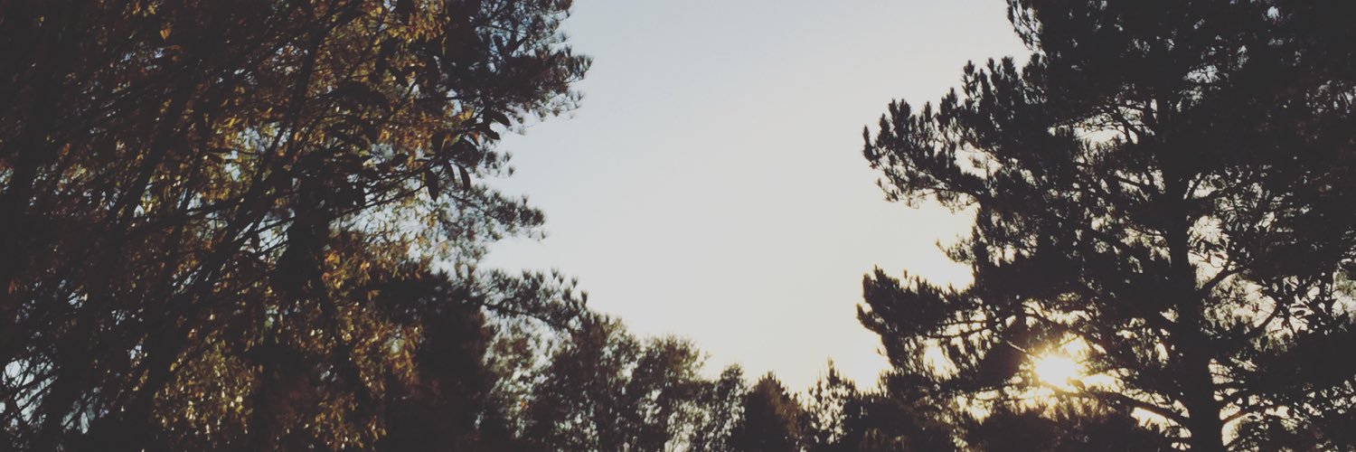 ChloeMichelle11's profile banner image