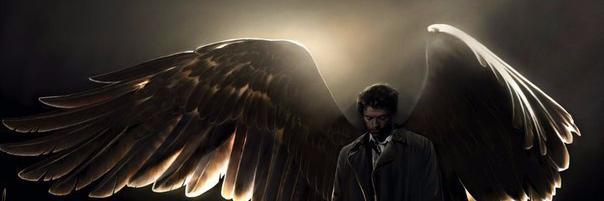 Margo_Collins's profile banner image