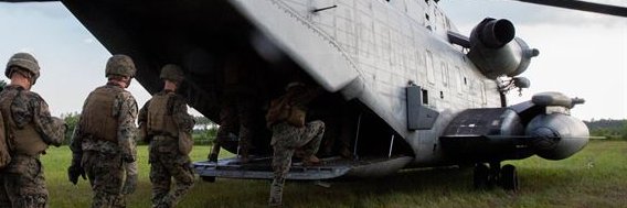 Dr. ElvisPotpie banner