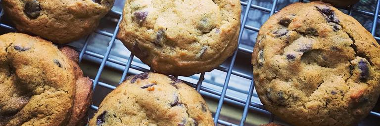 Emily Letterman banner