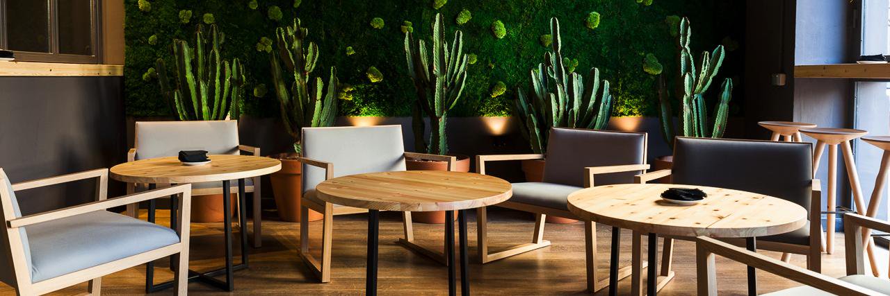 Ginger Fizz Bar banner