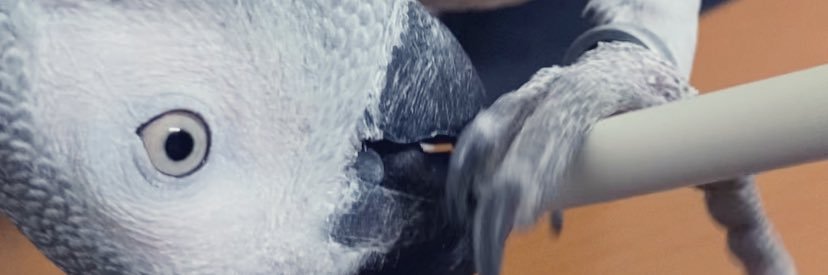 bl284cl377's profile banner image