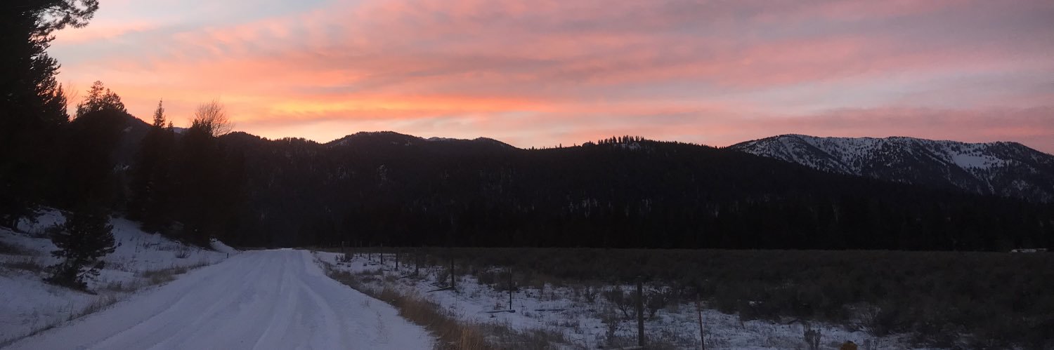 josephbeanz's profile banner image