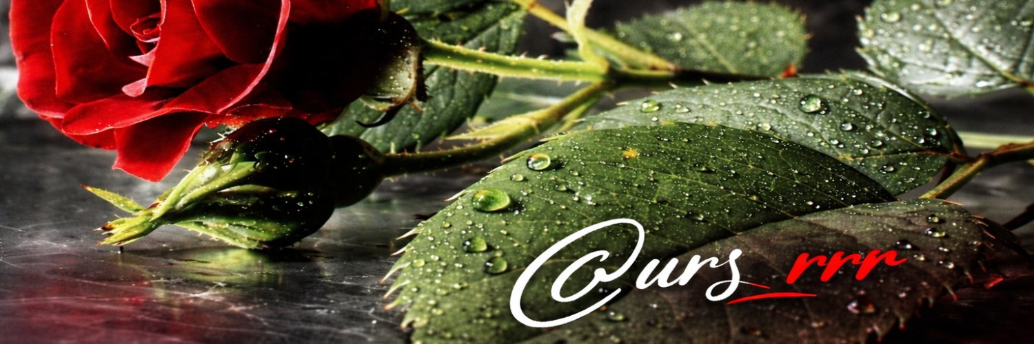 urs_rrr's profile banner image