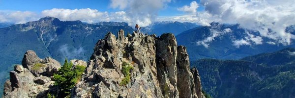 AlisonPaquette Profile Banner