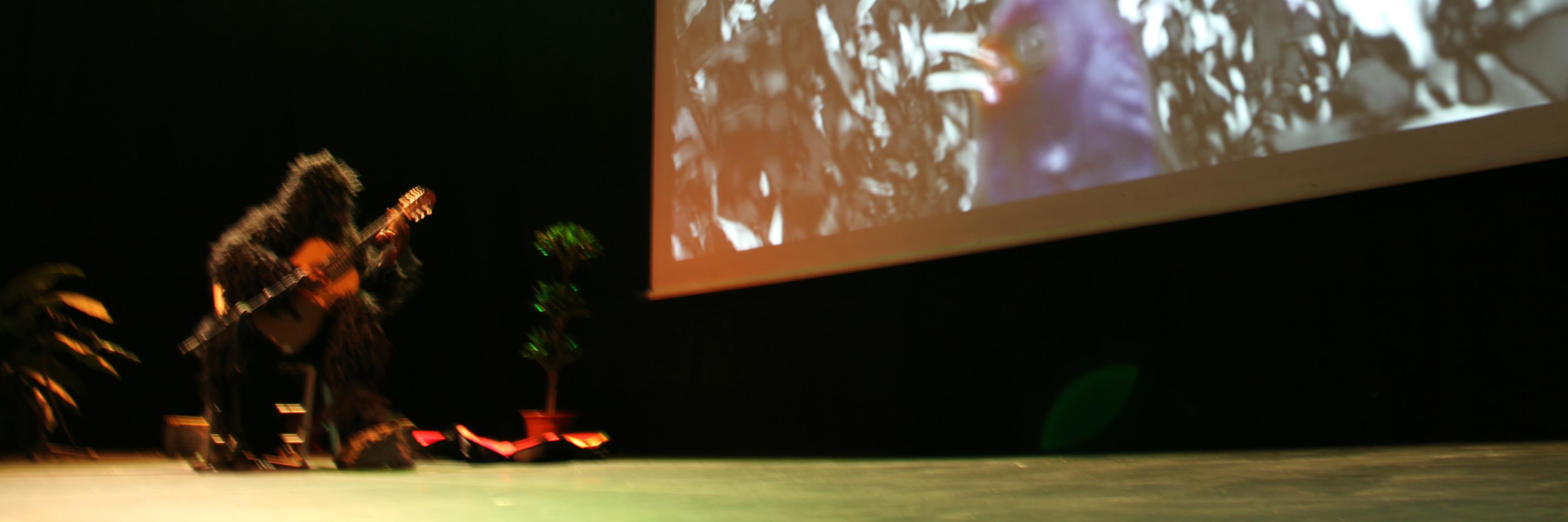 SenenBarreiro's profile banner image