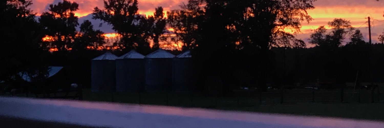 leighmfjoyner's profile banner image