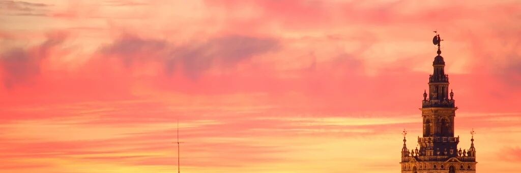 festguti's profile banner image
