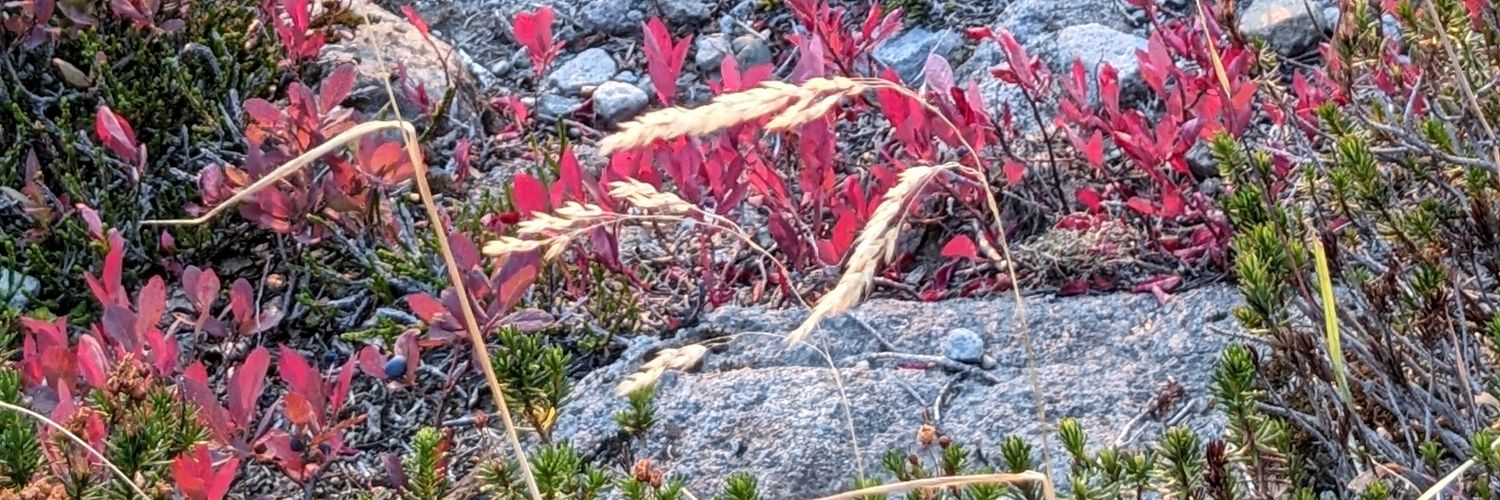 nacare49's profile banner image